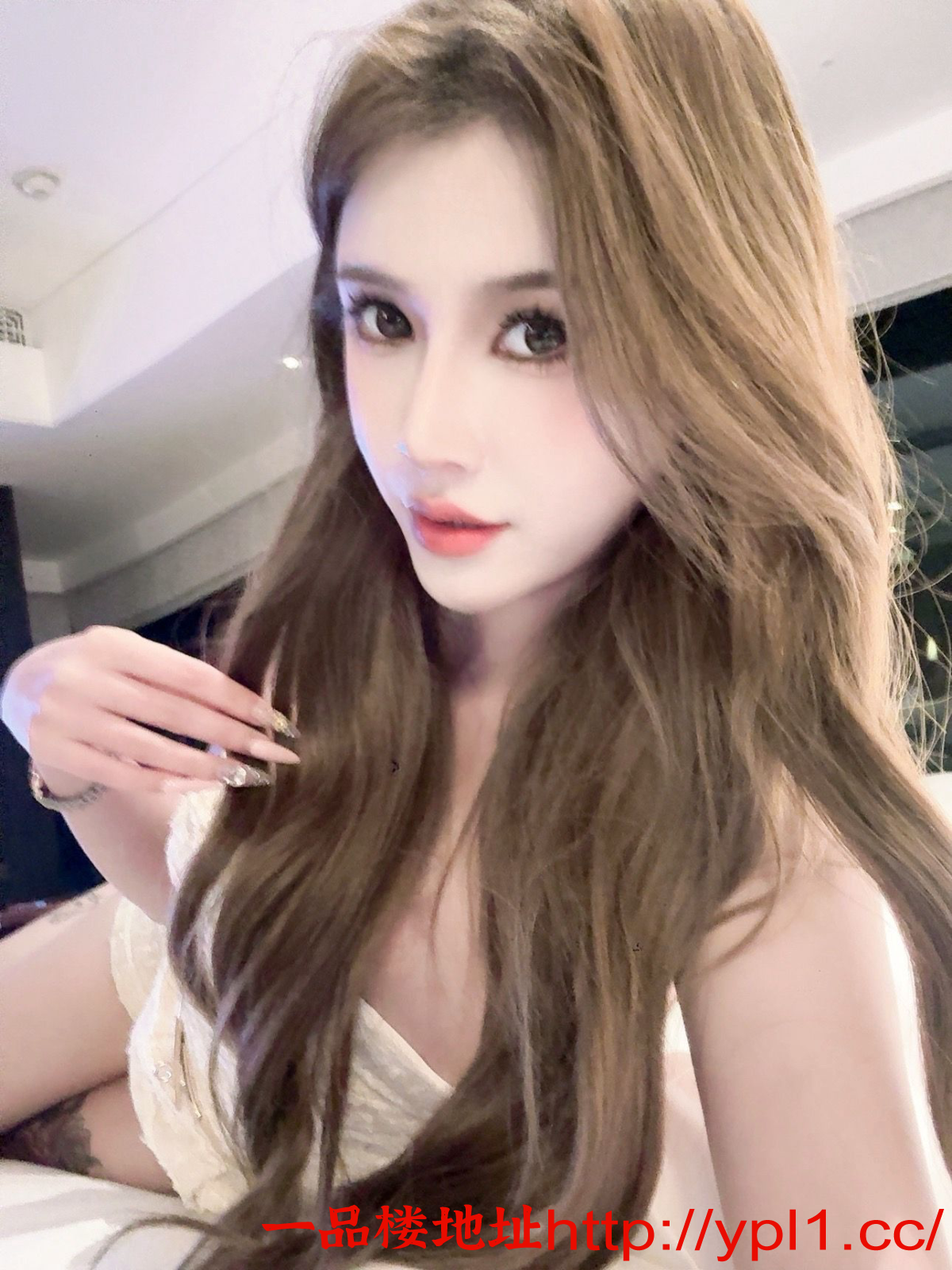 D396BB5D7353A69A8AC8102312910EA0.png